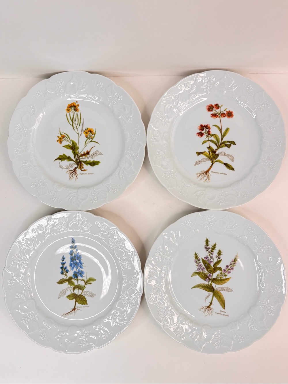 Dansk Ivy Embossed White Porcelain Flower Botanical Luncheon Plates France Set 4